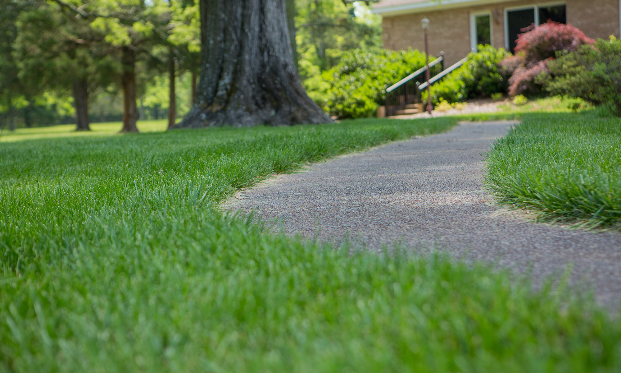 Home Get Green Lawncare